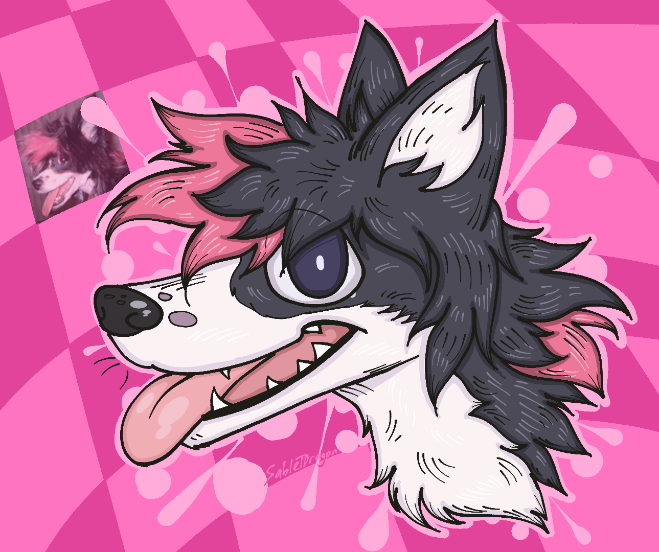 A digital drawing of a dog potrait with black fur and white countershading, it also has black hair in a spiky emo cut, with pink ombres. The dog is looking at the camera and smiling-panting. The background is pink checkers with a splatter paint outline on the dog. One of the checker tiles has the original picture of the dog.